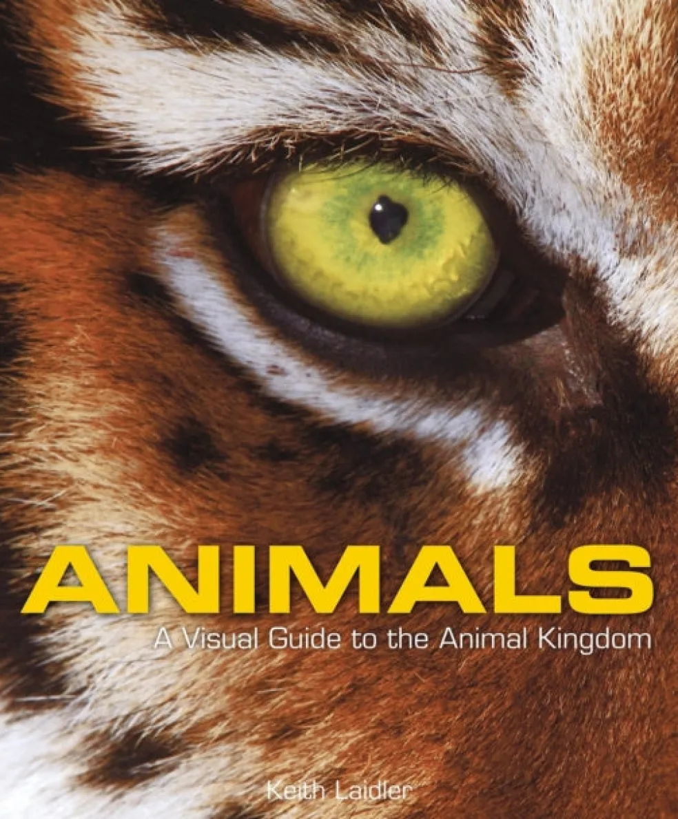 Animals