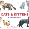 Cats & Kittens