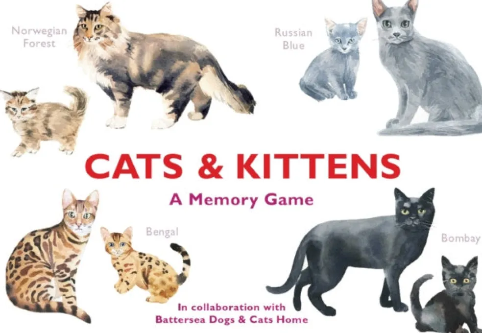Cats & Kittens