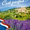 C'est parfait ! 2