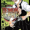 Demon Slayer 17