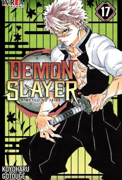 Demon Slayer 17