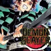 Demon Slayer 10