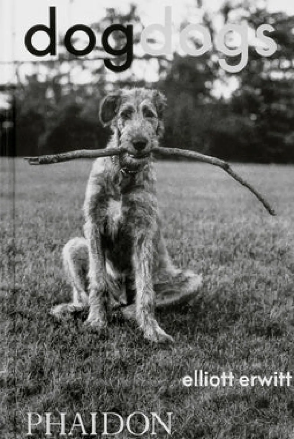 DogDogs
