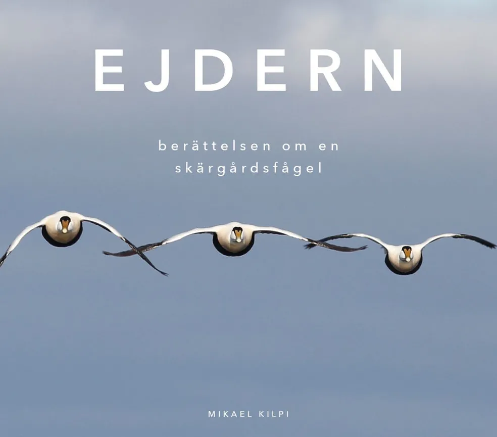 Ejdern