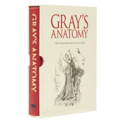 Grays Anatomy