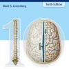 Greenberg's Handbook of Neurosurgery