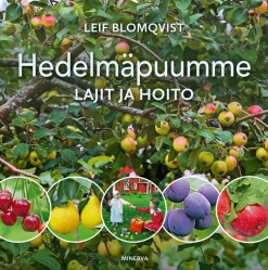 Hedelmäpuumme