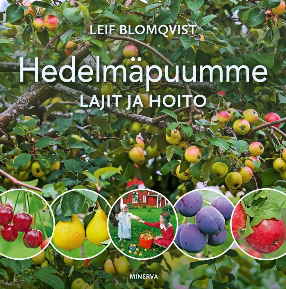 Hedelmäpuumme