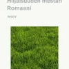 Hiljaisuuden mestari