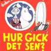 Hur gick det sen?