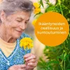 Ikääntyneiden osallisuus ja kuntoutuminen