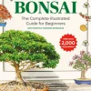Introduction to Bonsai