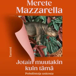 Jotain muutakin kuin tämä