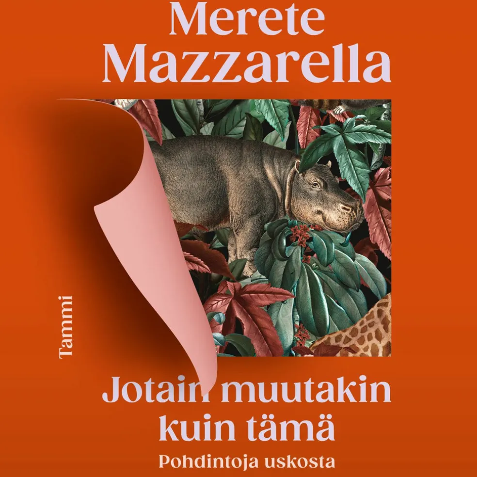 Jotain muutakin kuin tämä