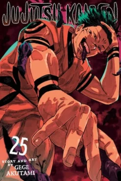 Jujutsu Kaisen, Vol. 25