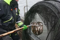 Kalastajien kyydissä Itämerellä