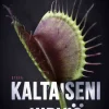 Kaltaiseni hirviö