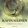 Kapinallinen