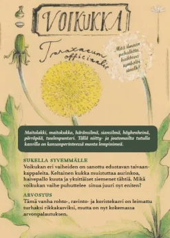 Kasvien kertomaa