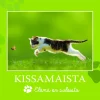 Kissamaista