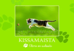 Kissamaista