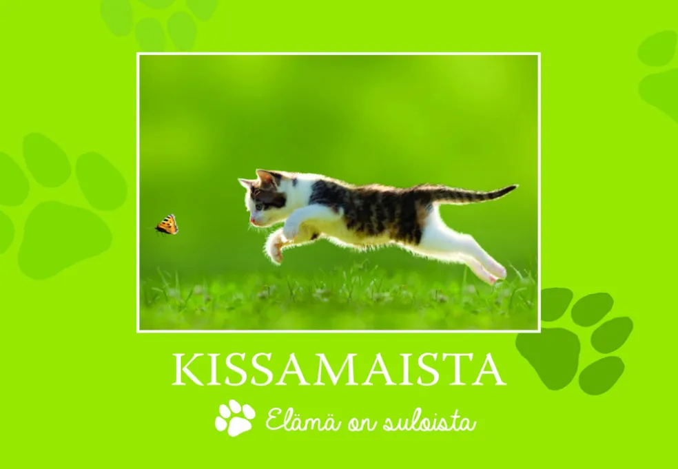 Kissamaista