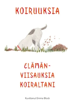 Koiruuksia