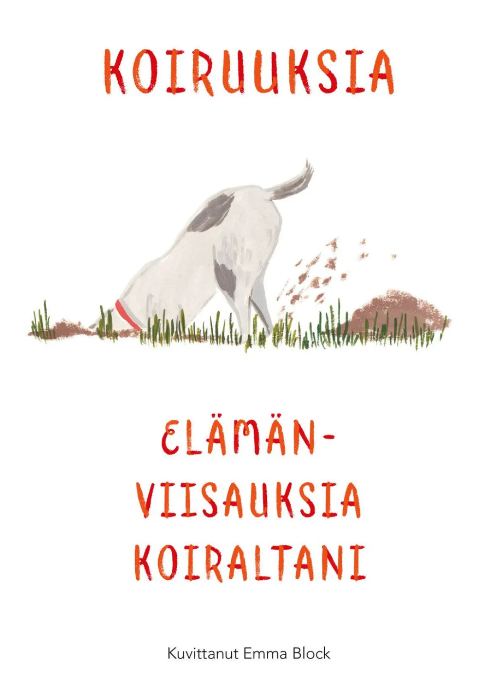 Koiruuksia