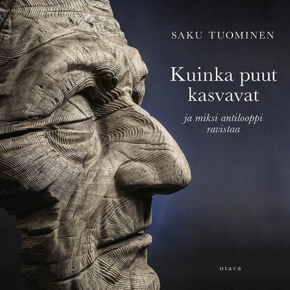 Kuinka puut kasvavat
