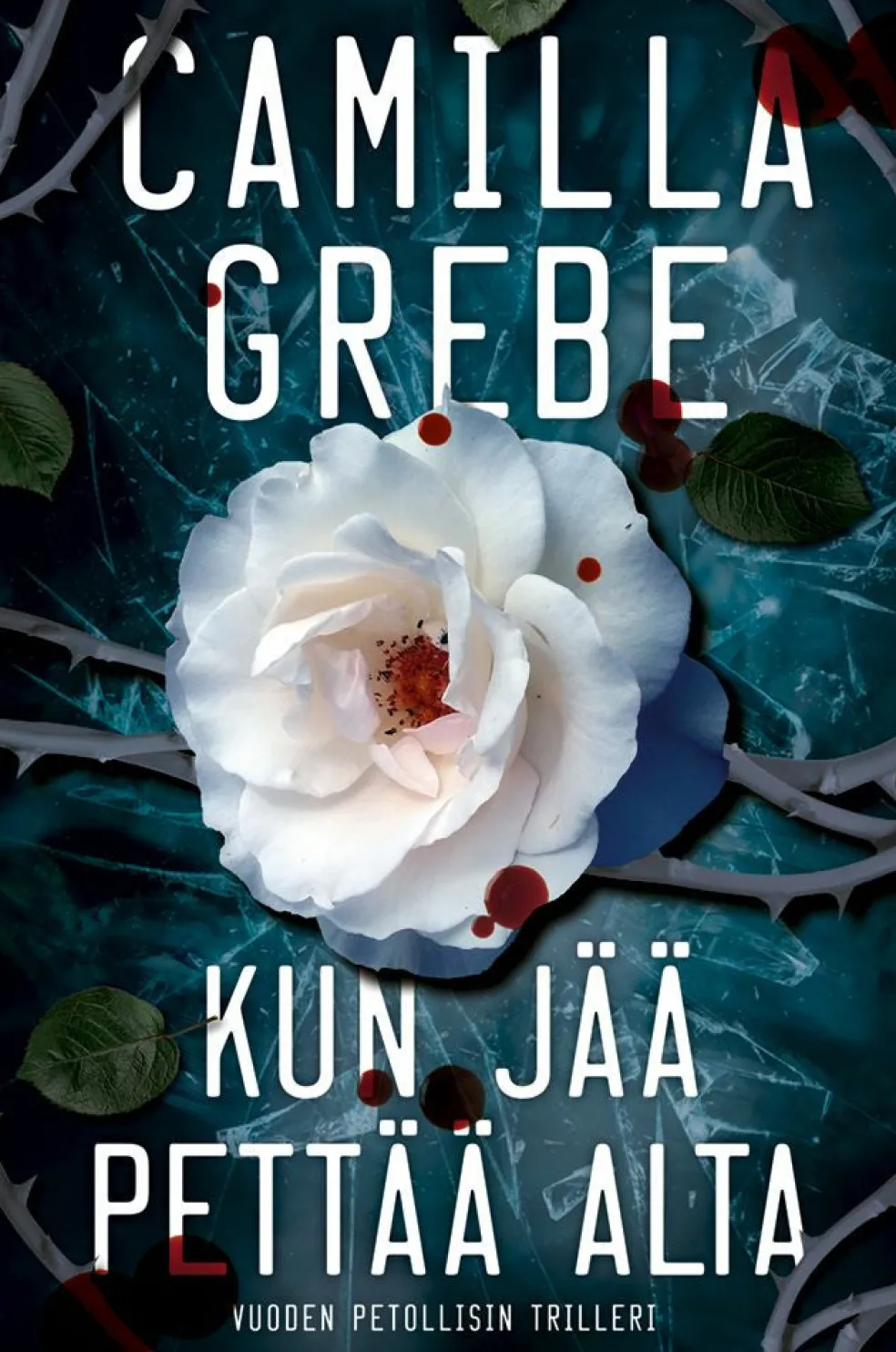 Kun jää pettää alta
