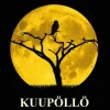 Kuupöllö