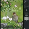 Linnut äänessä