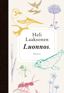 Luonnos.