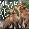 Me Kettuset