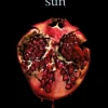 Midnight Sun