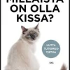 Millaista on olla kissa?