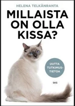 Millaista on olla kissa?