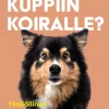 Mitä kuppiin koiralle?