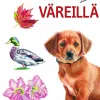 Näin piirrät väreillä