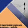 Opas: It-konsultin rooli kaupallisen onnistumisen edistäjänä