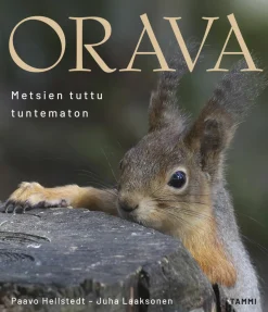 Orava