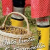 Outo lintu Katajamäellä