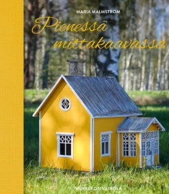 Pienessä mittakaavassa
