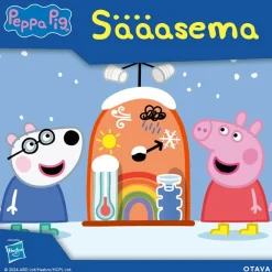 Pipsa Possu - Sääasema