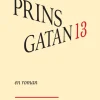 Prinsgatan 13