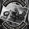 Prosenttimies