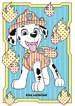 Ryhmä Hau - Paw Patrol Väritä vedellä