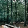 Secret Sussex Guide