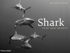 Shark